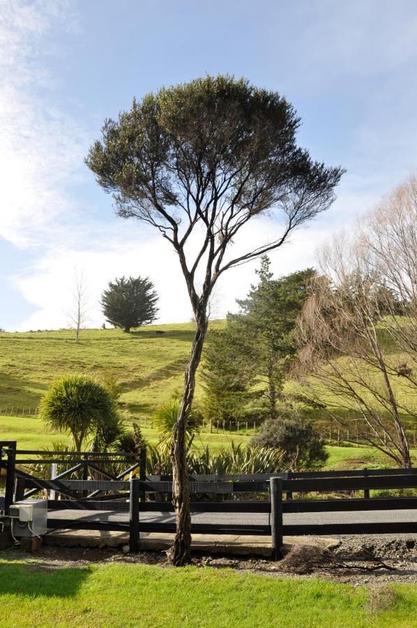 Matapouri & Tutukaka Spectacular Coastal Views- Aroha Luxury Guest Suite エクステリア 写真