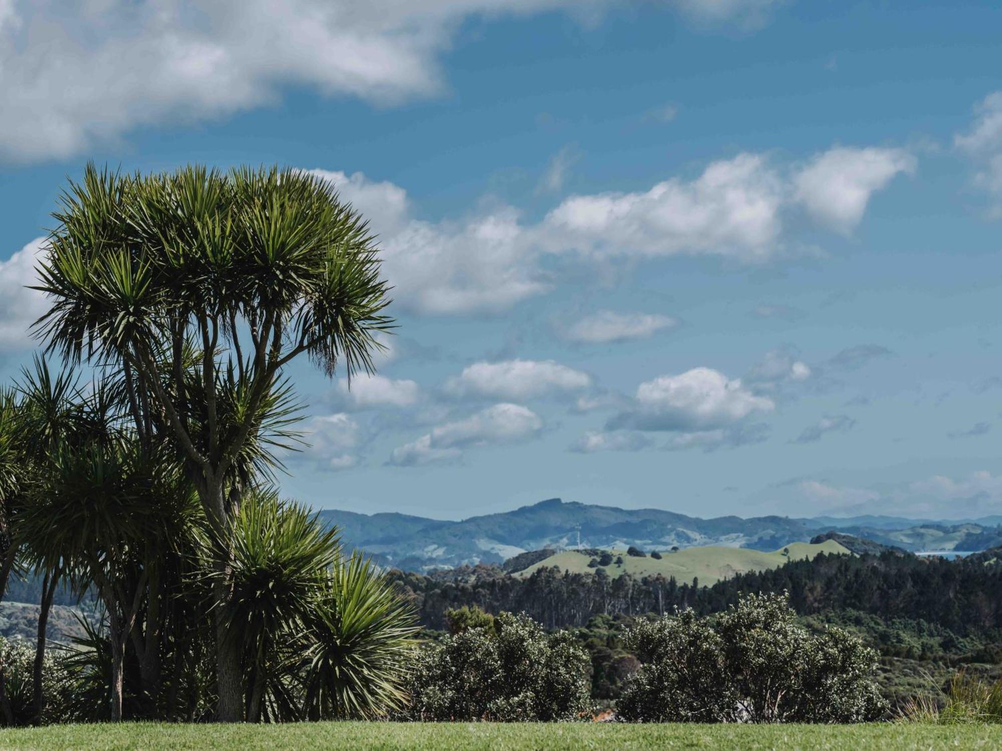 Matapouri & Tutukaka Spectacular Coastal Views- Aroha Luxury Guest Suite エクステリア 写真