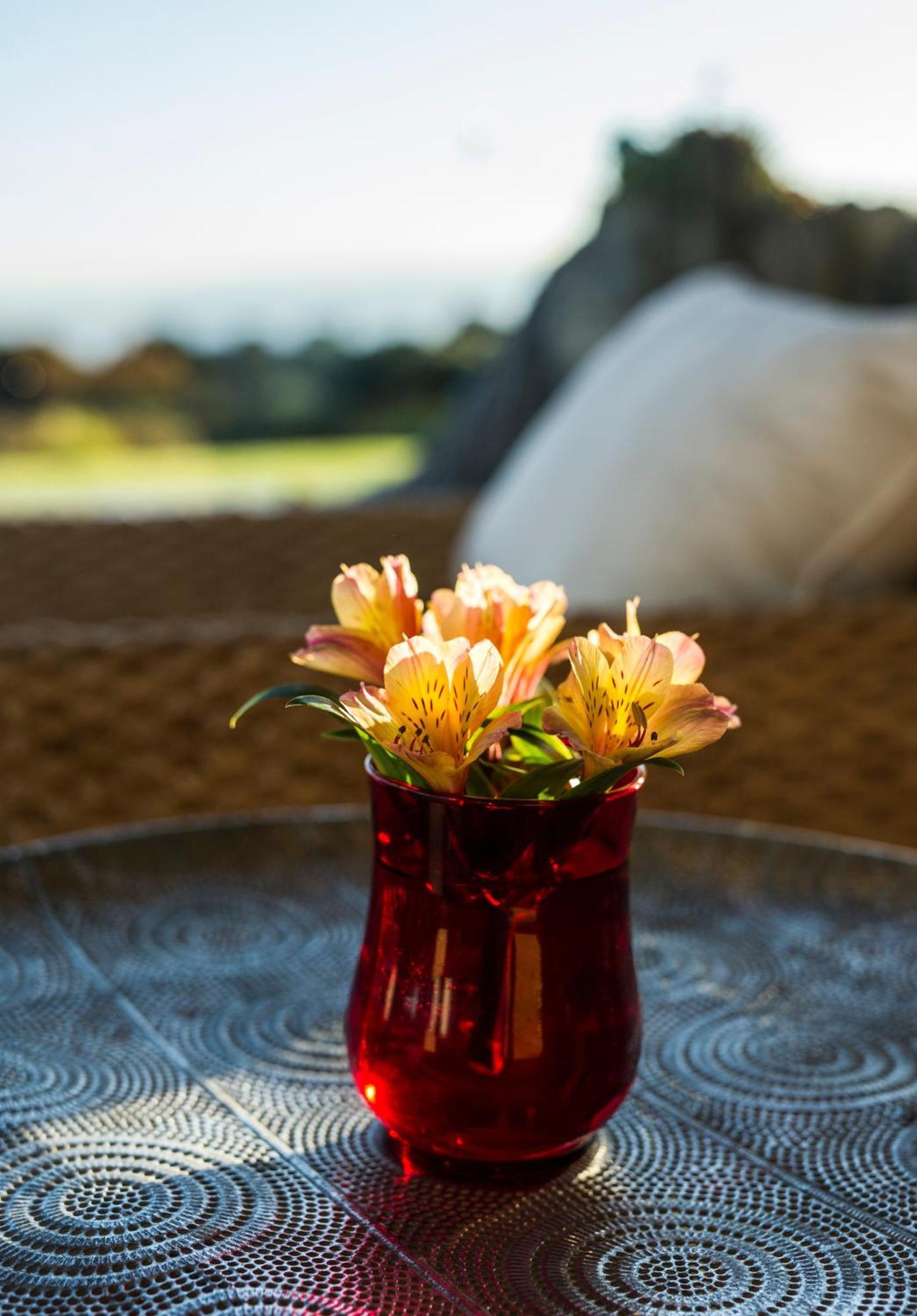 Matapouri & Tutukaka Spectacular Coastal Views- Aroha Luxury Guest Suite エクステリア 写真